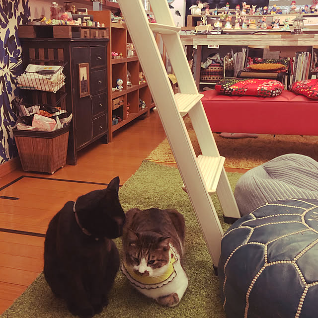 jijiさんの実例写真