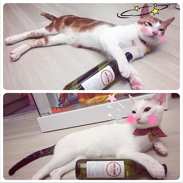 SUMNGさんの実例写真