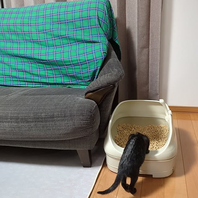 MyuRuuさんの実例写真