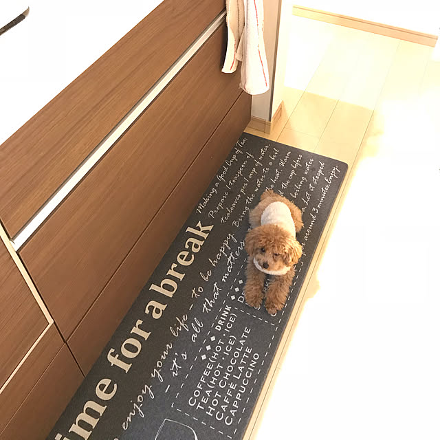 caravan.s_bellさんの実例写真