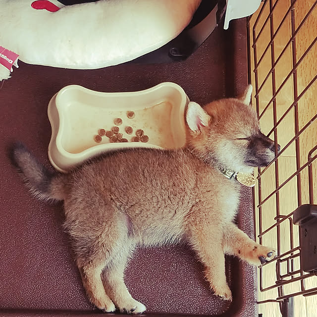 mikinon0916さんの実例写真