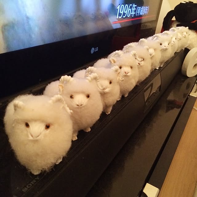 yellowegg6さんの実例写真