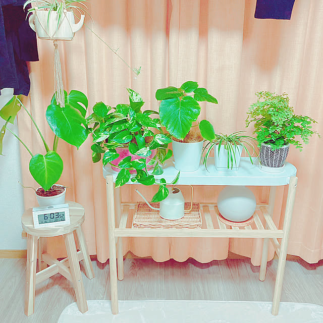 yuyuさんの部屋