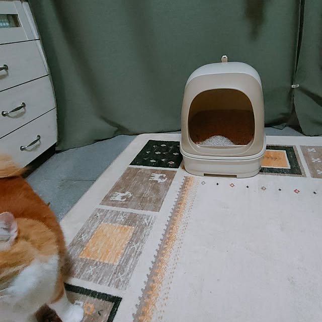 mori_6_12さんの部屋