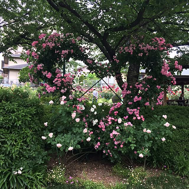 erinanaforさんの実例写真
