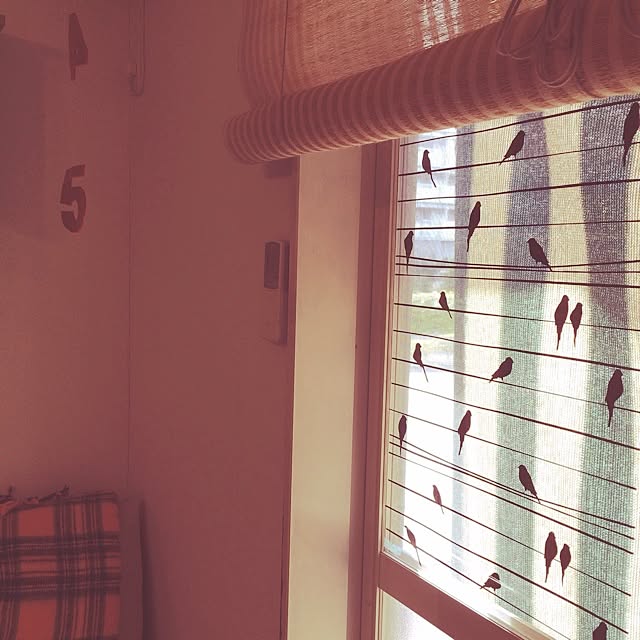 Kanaさんの実例写真