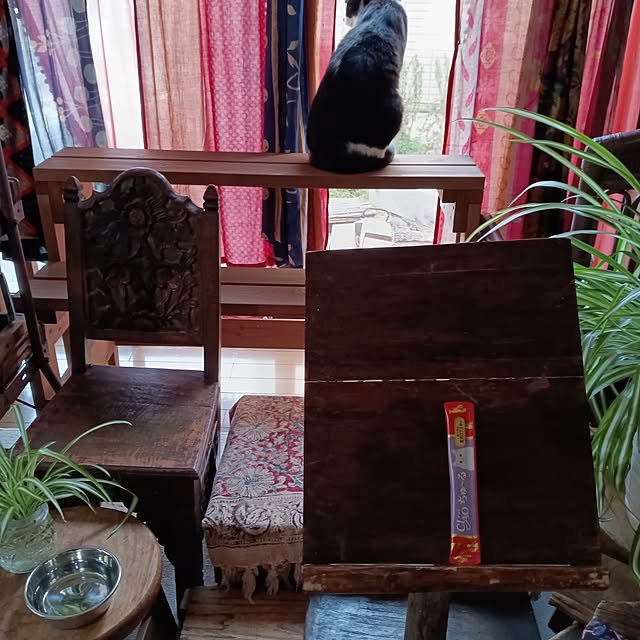 amoさんの実例写真