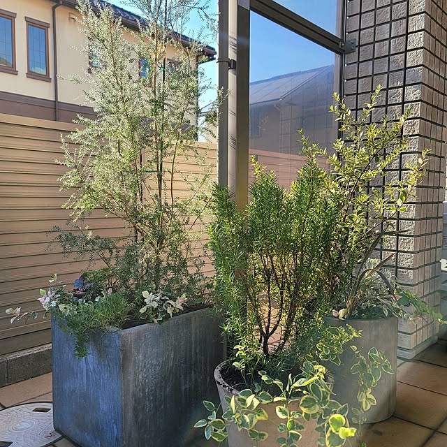 JASMINEさんの部屋