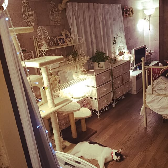 fu-ka24さんの実例写真