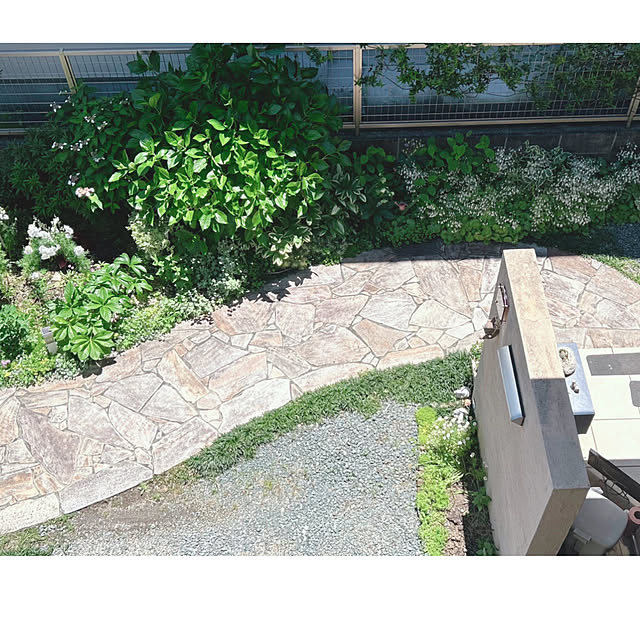 portulacaさんの部屋