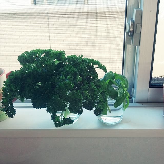 sakiさんの実例写真