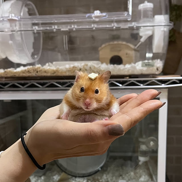 emiさんの部屋