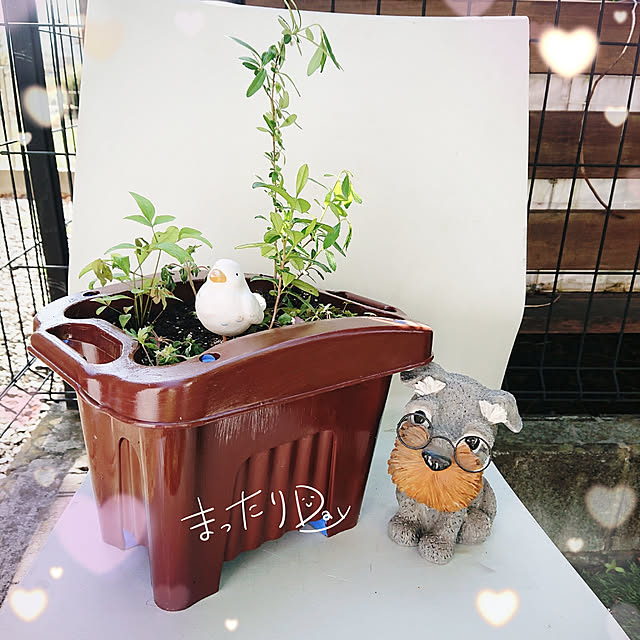 H23さんの実例写真