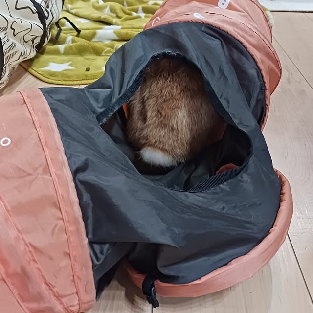 aiさんの部屋