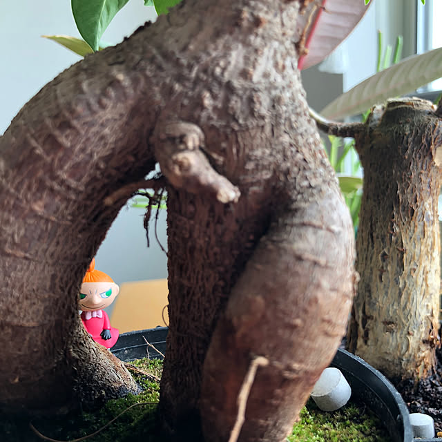 eriさんの部屋