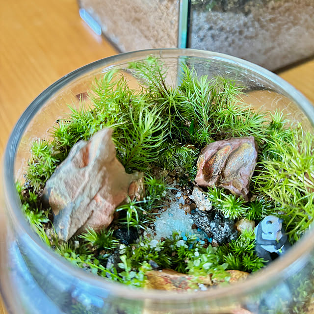 naokoさんの部屋