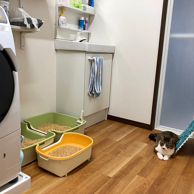 muuuuuさんの実例写真
