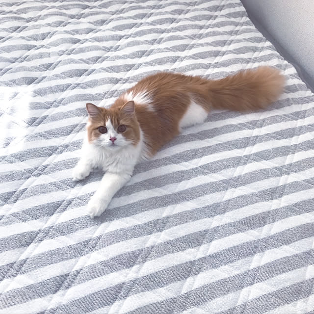 H.Tさんの実例写真