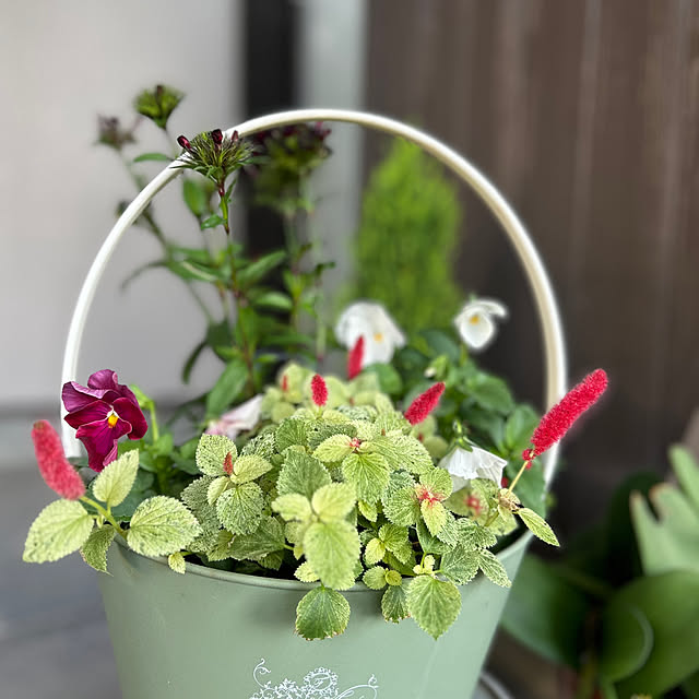 mozukuさんの部屋