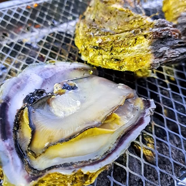 waniwaniさんの部屋