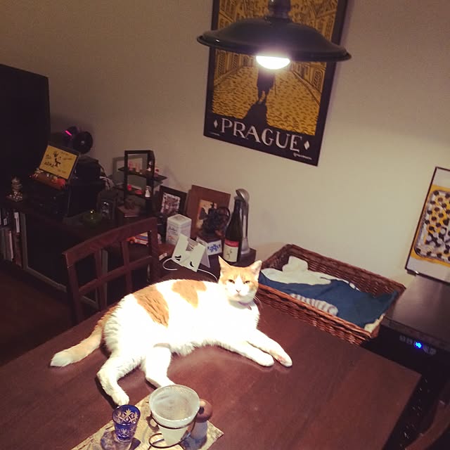 tenさんの実例写真