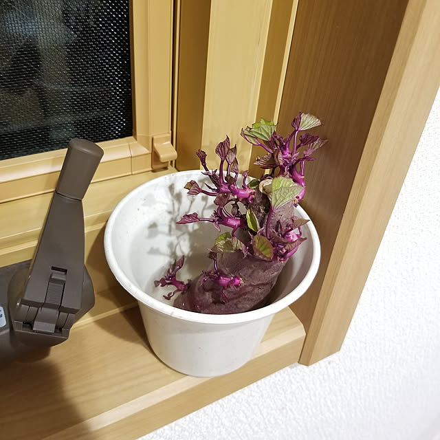 3saTさんの実例写真