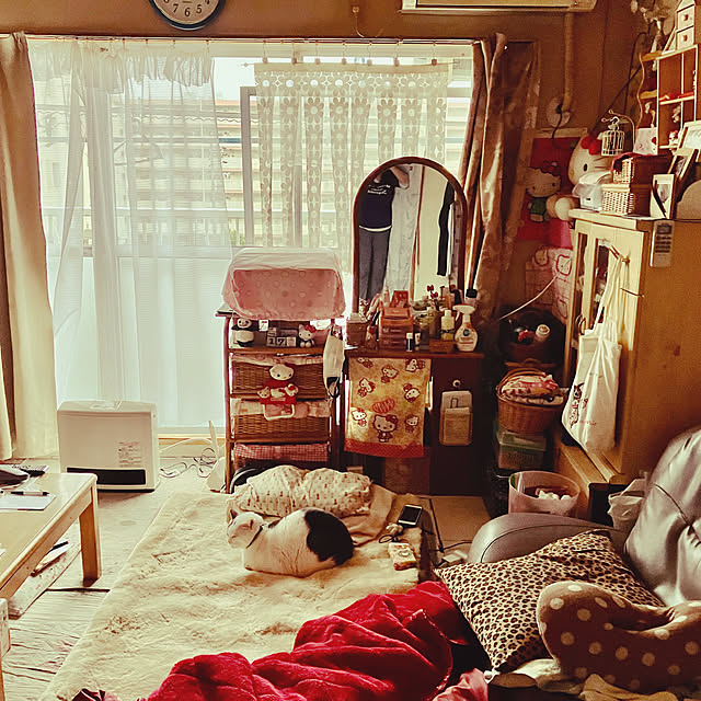 実例写真