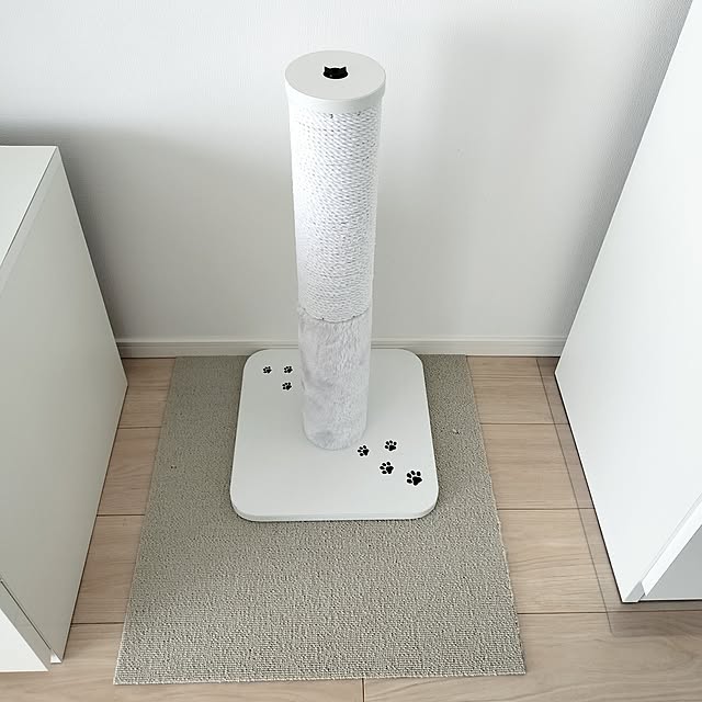 sakuraさんの部屋