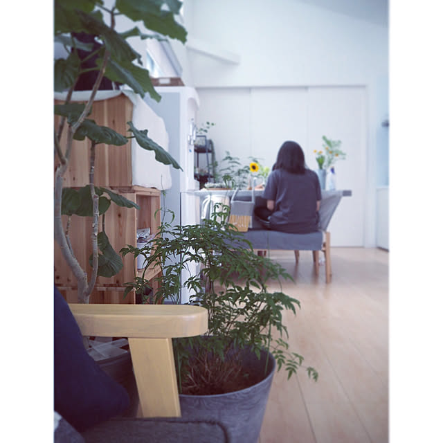 mimiedenさんの実例写真
