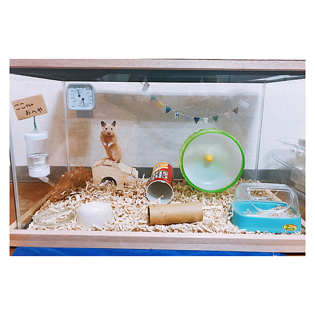 daihukumoti000さんの実例写真