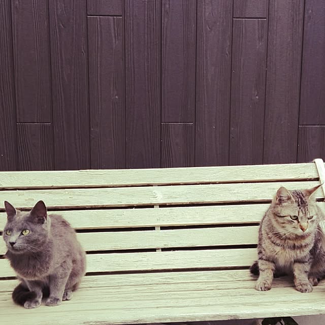 maikoさんの実例写真