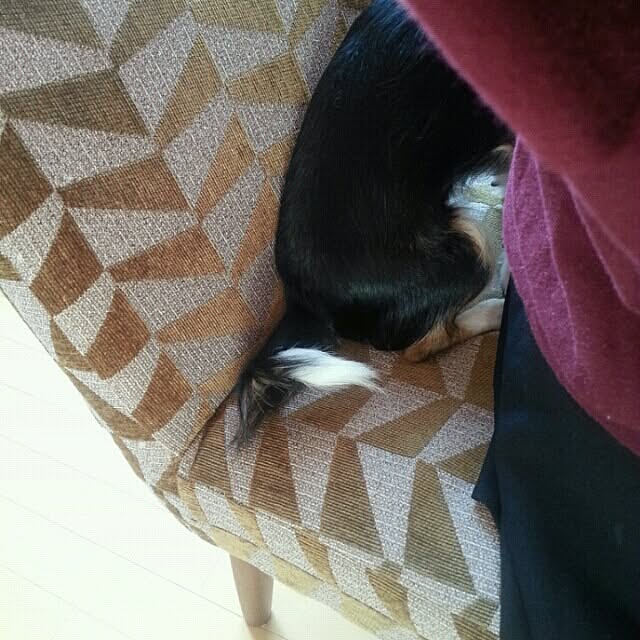rponさんの実例写真