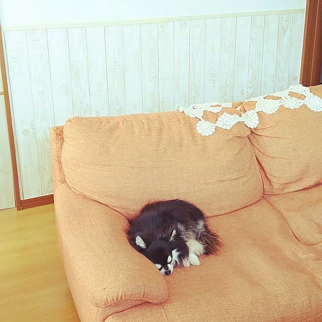 go-yaさんの実例写真