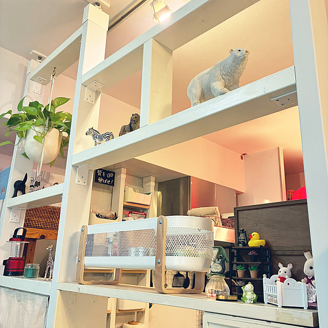 koshiregutyoさんの実例写真