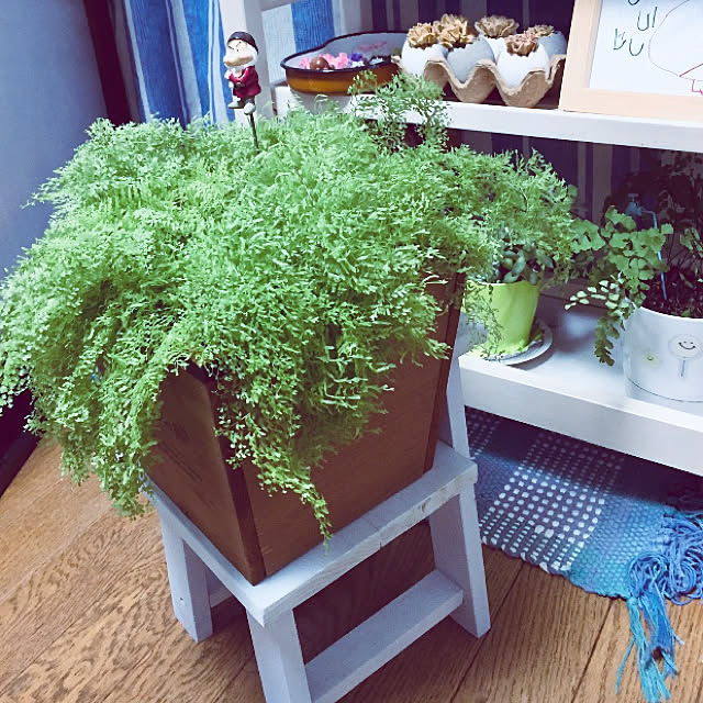 takakoさんの実例写真