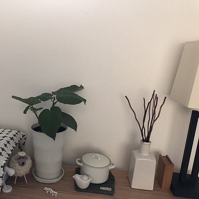 mu_chanさんの実例写真