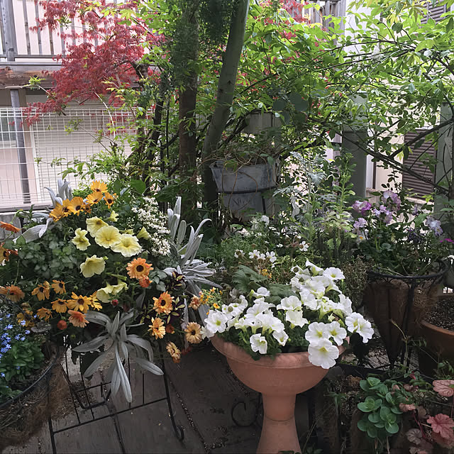 claさんの実例写真
