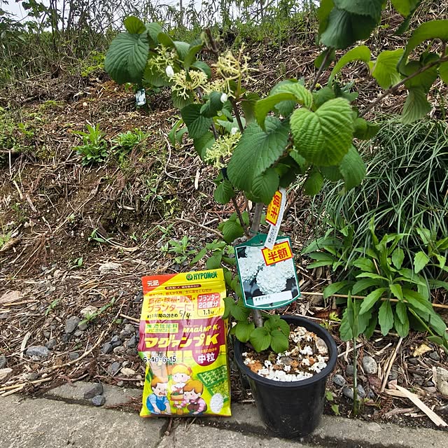 Rubiconさんの部屋