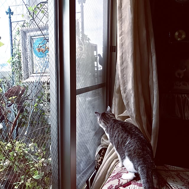 emmyyさんの実例写真