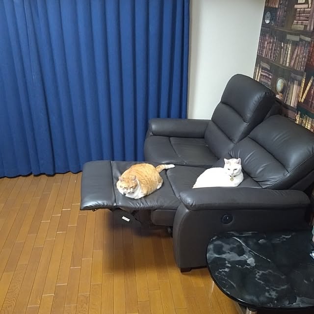 NOAHさんの部屋