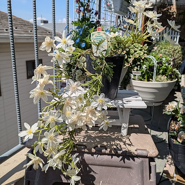 toramamaさんの実例写真