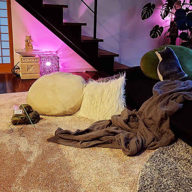 zenoさんの実例写真
