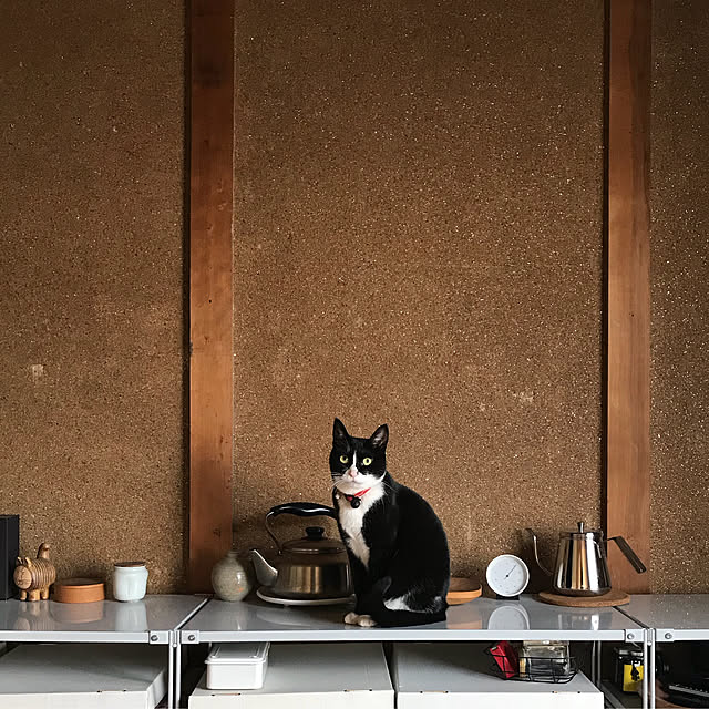 nejimakiさんの実例写真