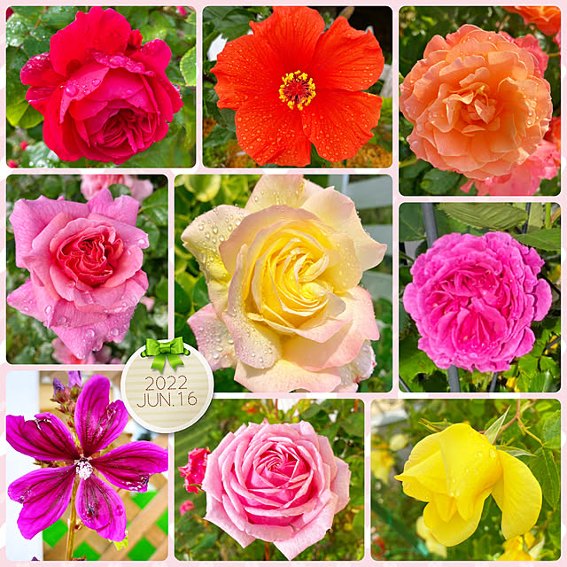 HappyRoseさんの実例写真
