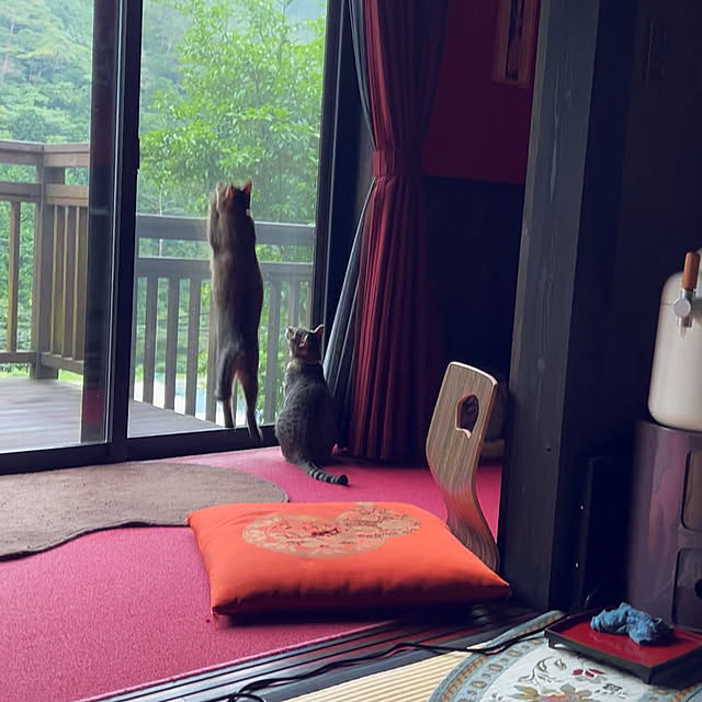 kanaさんの実例写真