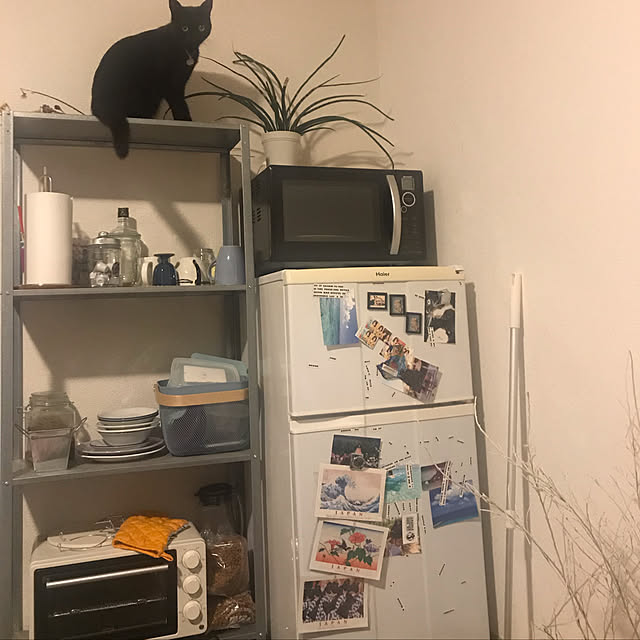 penyrainさんの実例写真
