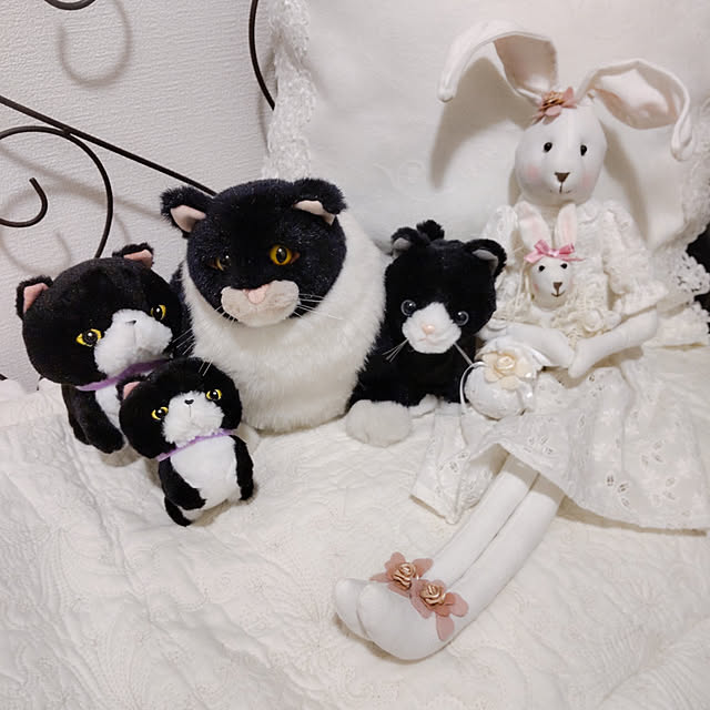 faunさんの実例写真