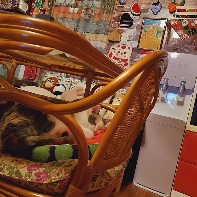kumutanさんの実例写真