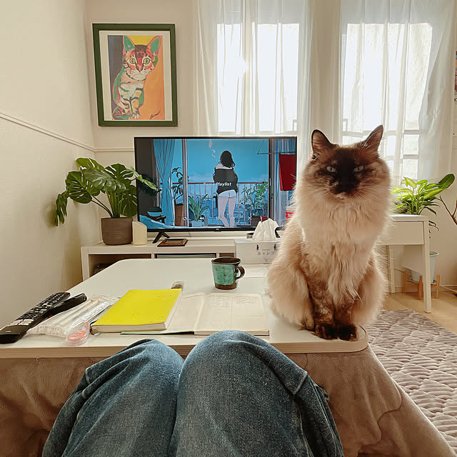 cocoさんの実例写真