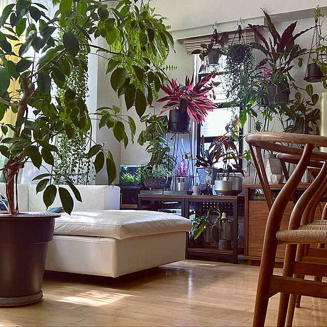 DAYONEさんの実例写真